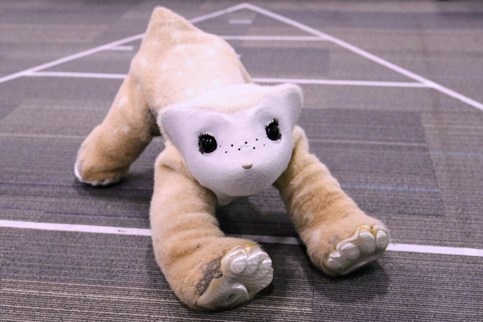 Roomba pioneer unveils a plush, AI-powered pet robot for households