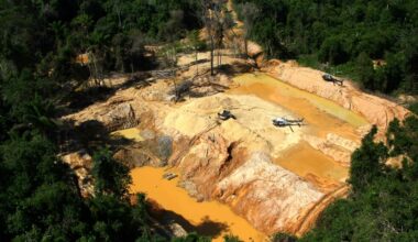 Gold prices spark mining rush in Brazil's Amazon, fueling deforestation