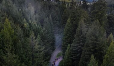 California bill shifts away from logging toward tribal co-management