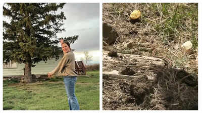 This Montana family discovers a den of snakes in their farmhouse; this is what happens next…