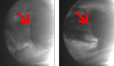 A Gigantic Atmospheric Anomaly Keeps Showing Up on Venus. Astronomers Finally Know Why