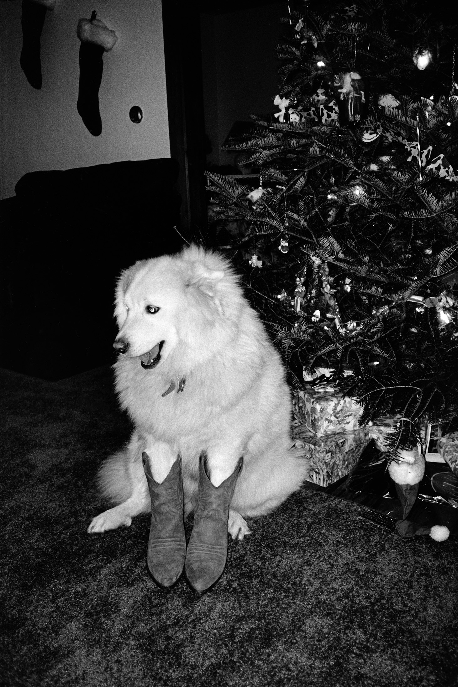 web Nikita, Cowboy Boots, 1997