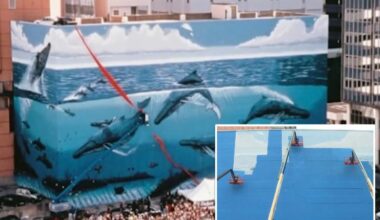 Artist Wyland outraged as Dallas, FIFA paint over his iconic Whaling Wall mural for World Cup