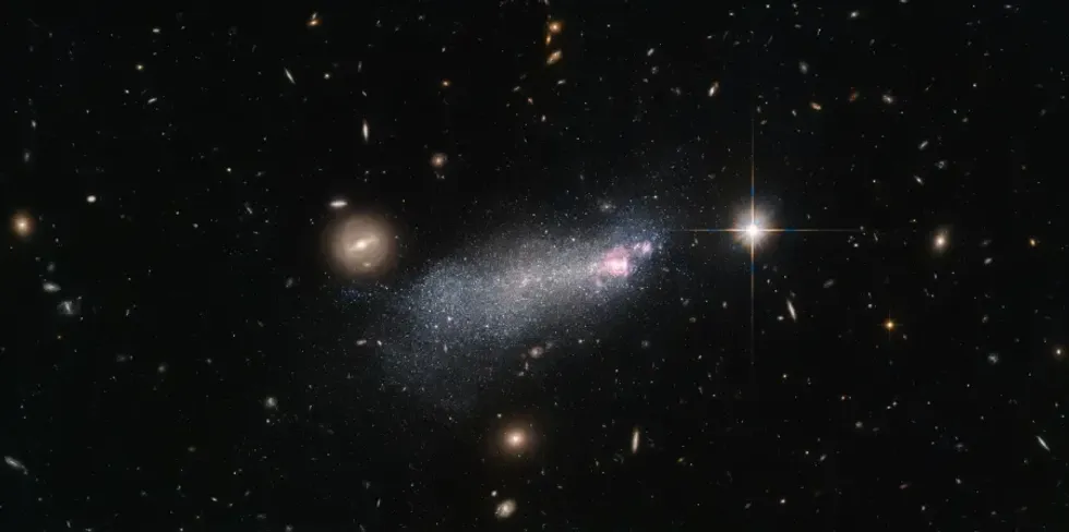 Wolf-Rayet star