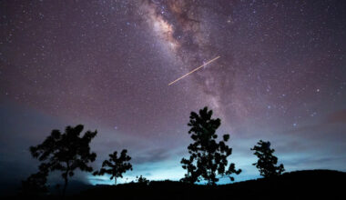 Yahoo news home