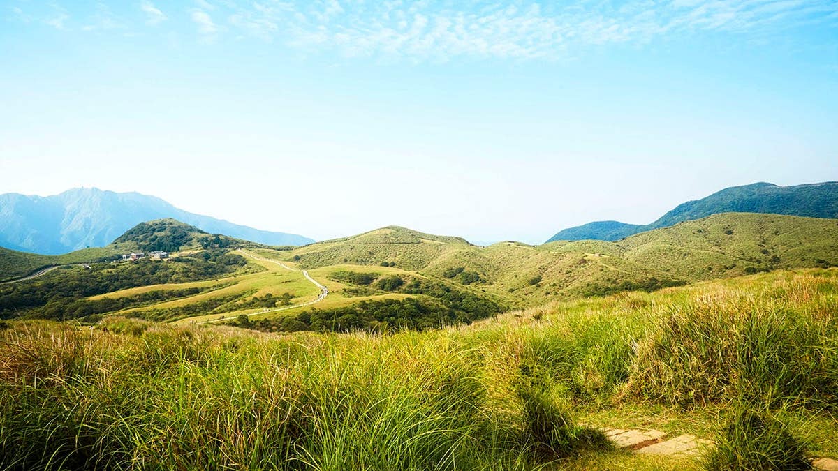 The Qingtiangang area of Yangmingshan National Park with grasslands and cattle