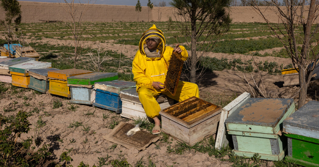 The Women Running Businesses Under Taliban Rules