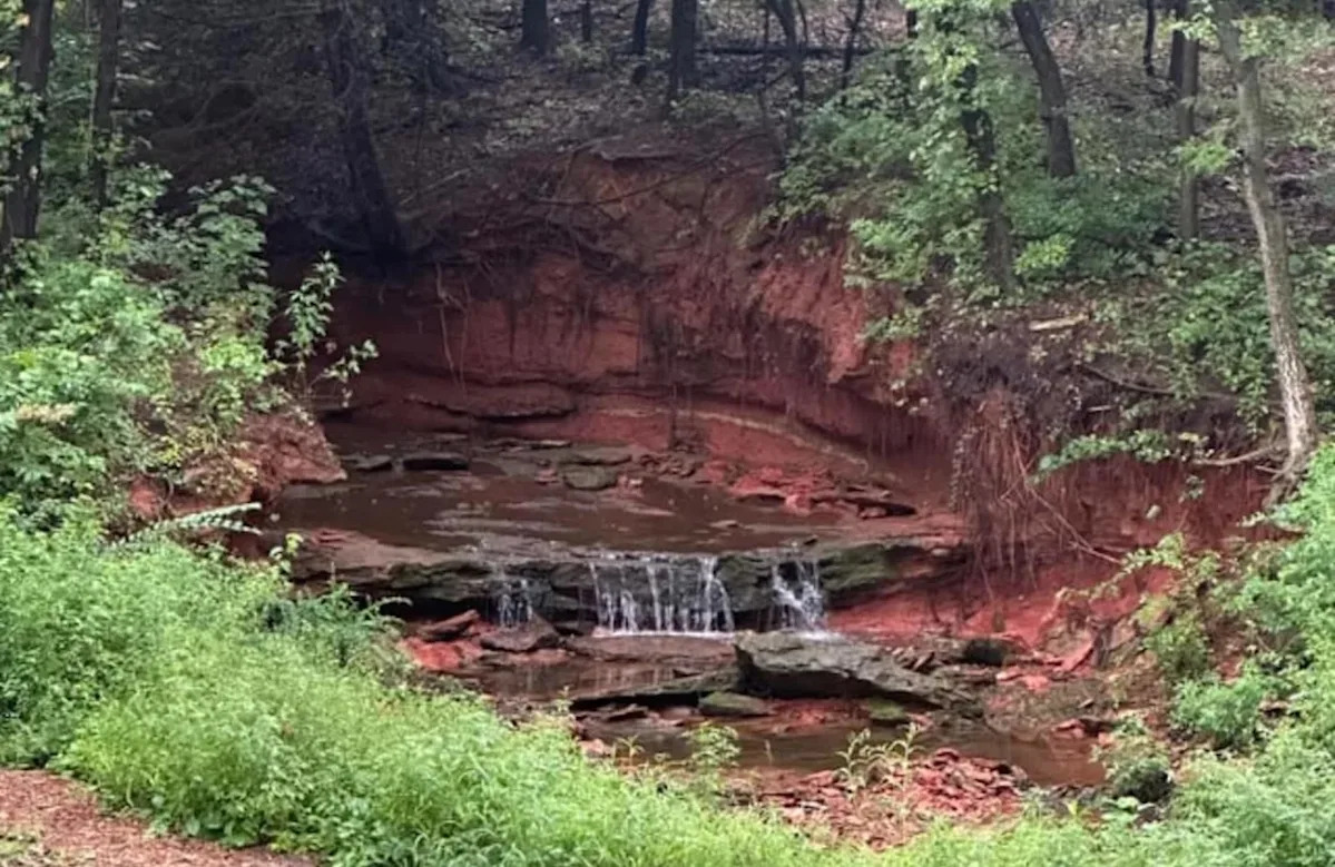 Student asks if storm makes snake-filled pond safe to explore: 'Can I safely fulfill my dreams?'