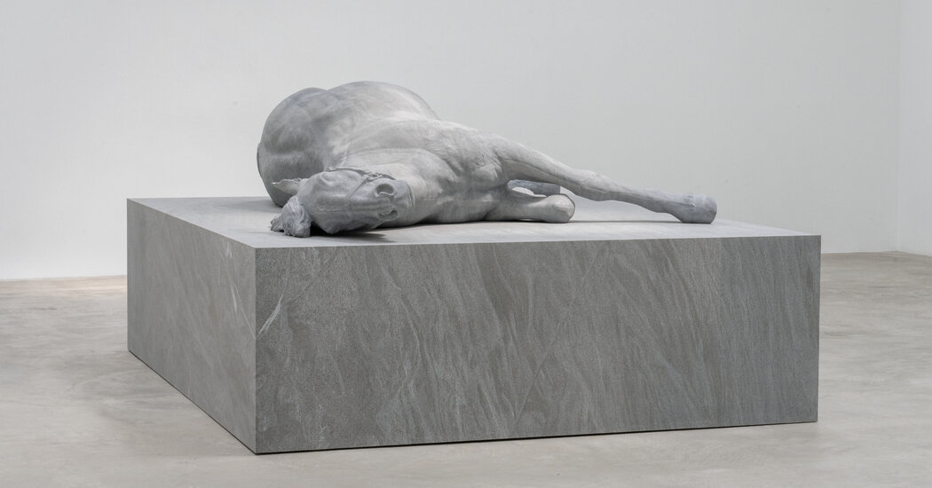 Art Gallery Shows to See in June