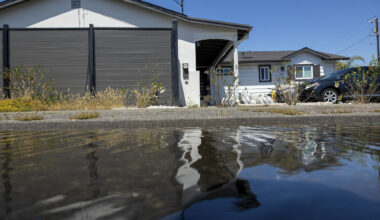 San Francisco and Marin Face Flooding Amid Highest Summer Tide on Record