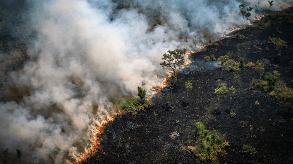 Smoke rises as orange fire burns through brown dirt and green trees.