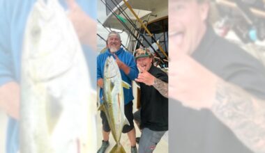 Massive yellowtail caught close to shore generates buzz on the water – Orange County Register