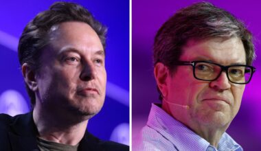 Yann LeCun blasts Musk's xAI, says labs are risking 'bubble explosion'