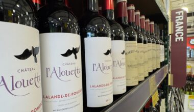 Trump says France must scrap tech 'sales tax' or face 100% wine tariffs: NY Post