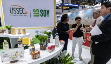 U.S. fights with Brazil for China's giant soybean market