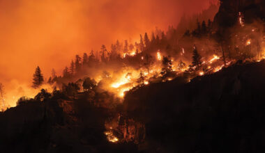 Extreme fire danger persists - News