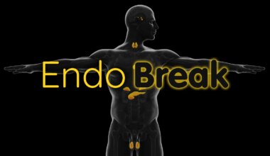 Endo Break over a computer rendering of a man with illustrated body organs.