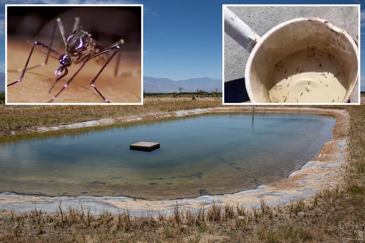 West Nile virus detected in Southern California city