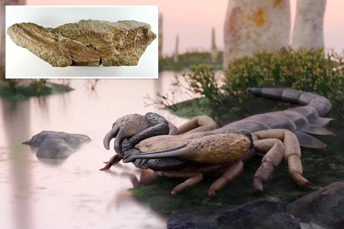 Child-size scorpion was largest ever, study says