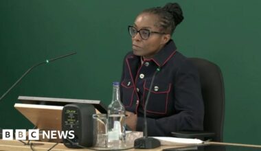 Psychiatrist hopes attacks inquiry leads to change - BBC
