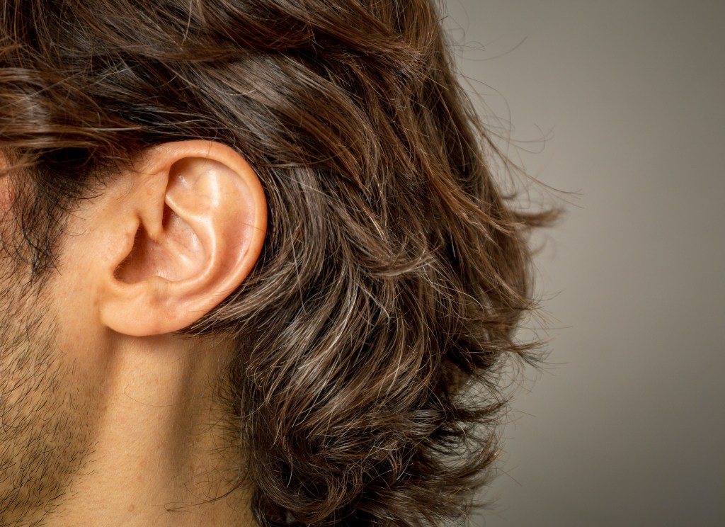 A close-up of a human ear, surrounded by brown hair with some gray strands.