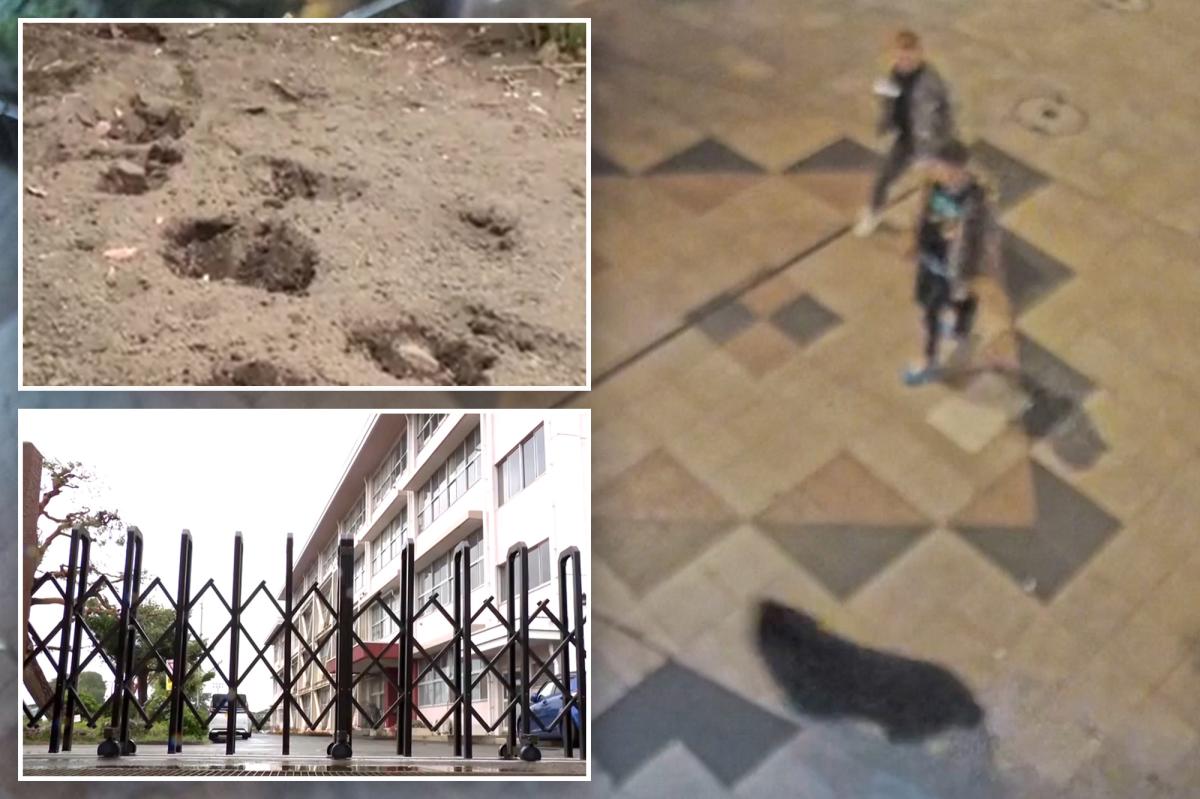 First-ever bear sighting in Japanese city triggers suspensions at 94 schools