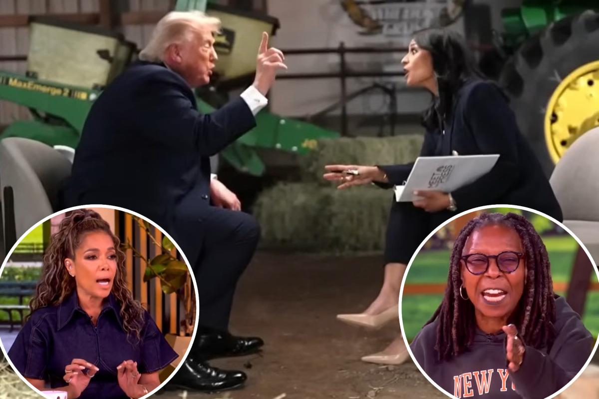 The View hosts break out in vicious fight over California's vote count