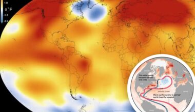 Atlantic 'cold blob' could bring about big chill, rising seas: study