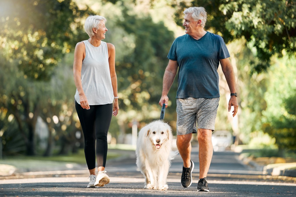 An older couple walks with their white dog on a sunny road.