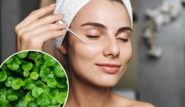What is centella? 'Herb of longevity is Korean skincare staple