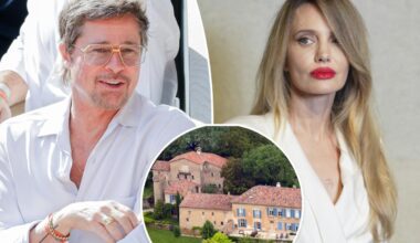 Brad Pitt's legal wins keep coming as Angelina Jolie winery battle rages on