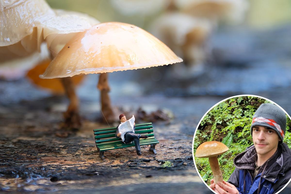 New details on magic mushroom that makes users see tiny people: