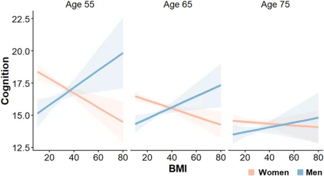 Three line charts compare BMI with cognitive scores in women and men at ages 55, 65, and 75. At ages 55 and 65, higher BMI is linked to lower cognition in women but higher cognition in men. At age 75, the sex difference is much weaker, with wide overlapping uncertainty bands.