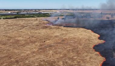 Fire crews set controlled burn at Gene Andal Park for training and environmental restoration