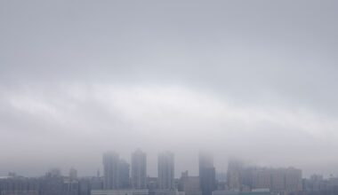 Fog Is a Habitat, Teeming With Life