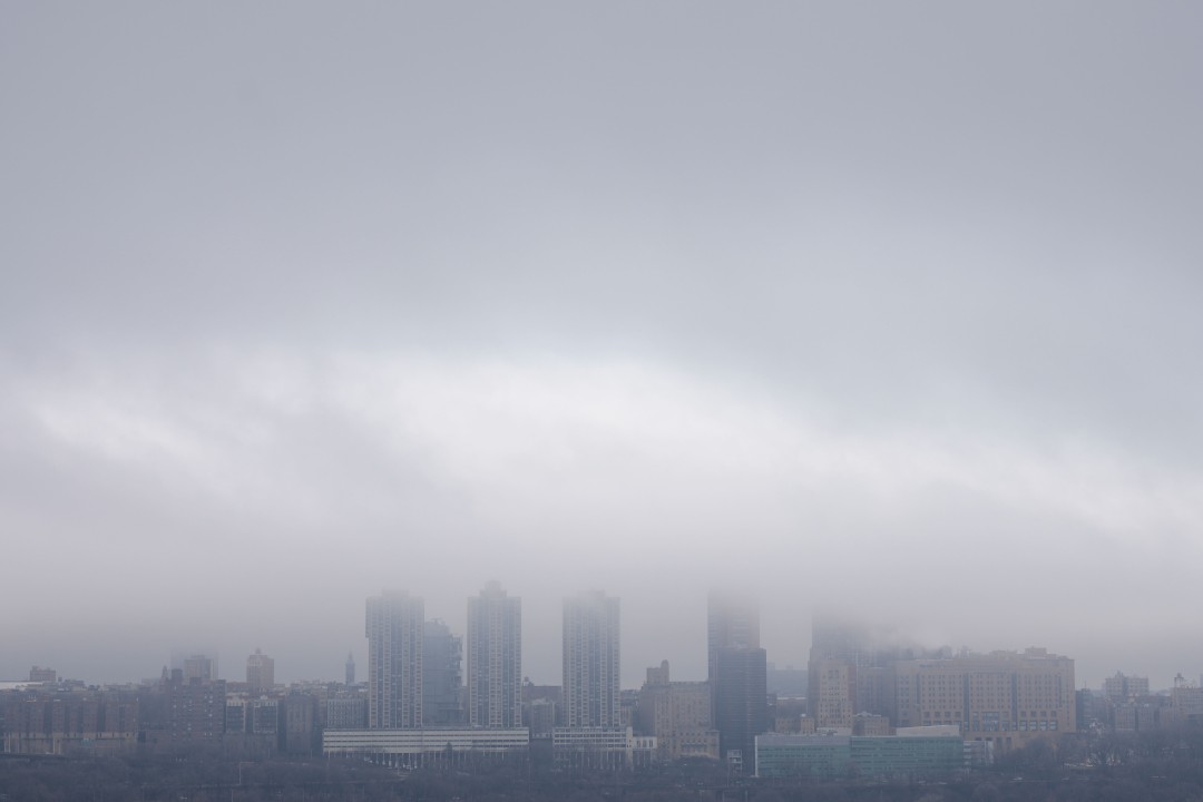 Fog Is a Habitat, Teeming With Life