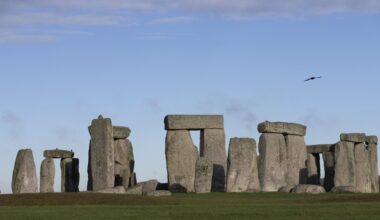 Research Backs Human Muscle in Stonehenge Construction