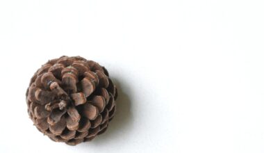 Kid With Pine Cone Puts Hole in Masterpiece