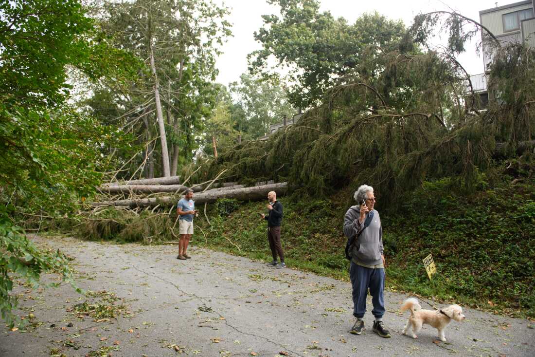 Residents make phone calls in their neighborhood after heavy rains from hurricane Helene caused record flooding and damage on September 28, 2024 in Asheville, North Carolina.