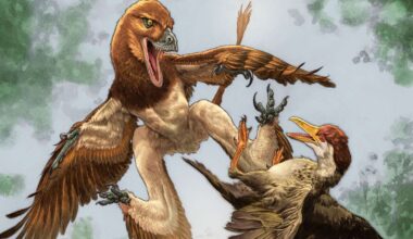 Fossil reveals bizarre gliding creature that hunted birds 120 million years ago