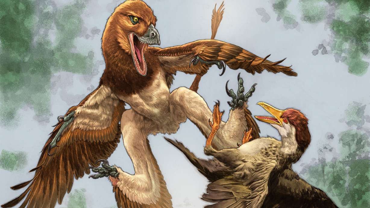 Fossil reveals bizarre gliding creature that hunted birds 120 million years ago