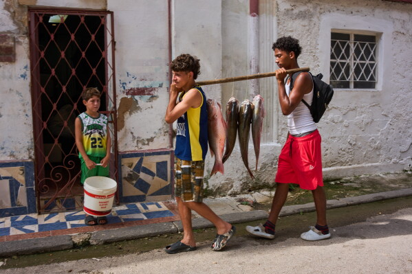 Youths carry freshly caught fish from the sea in Havana, Cuba, Monday, June 1, 2026. (AP Photo/Ramon Espinosa)