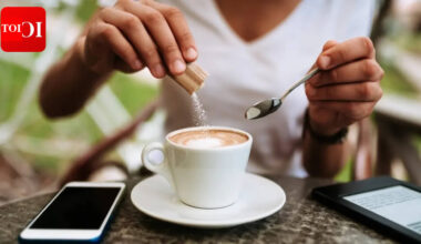 Monk Fruit Sweetner: Which is the healthiest sweetener: Sugar, jaggery, honey, or monk fruit? |