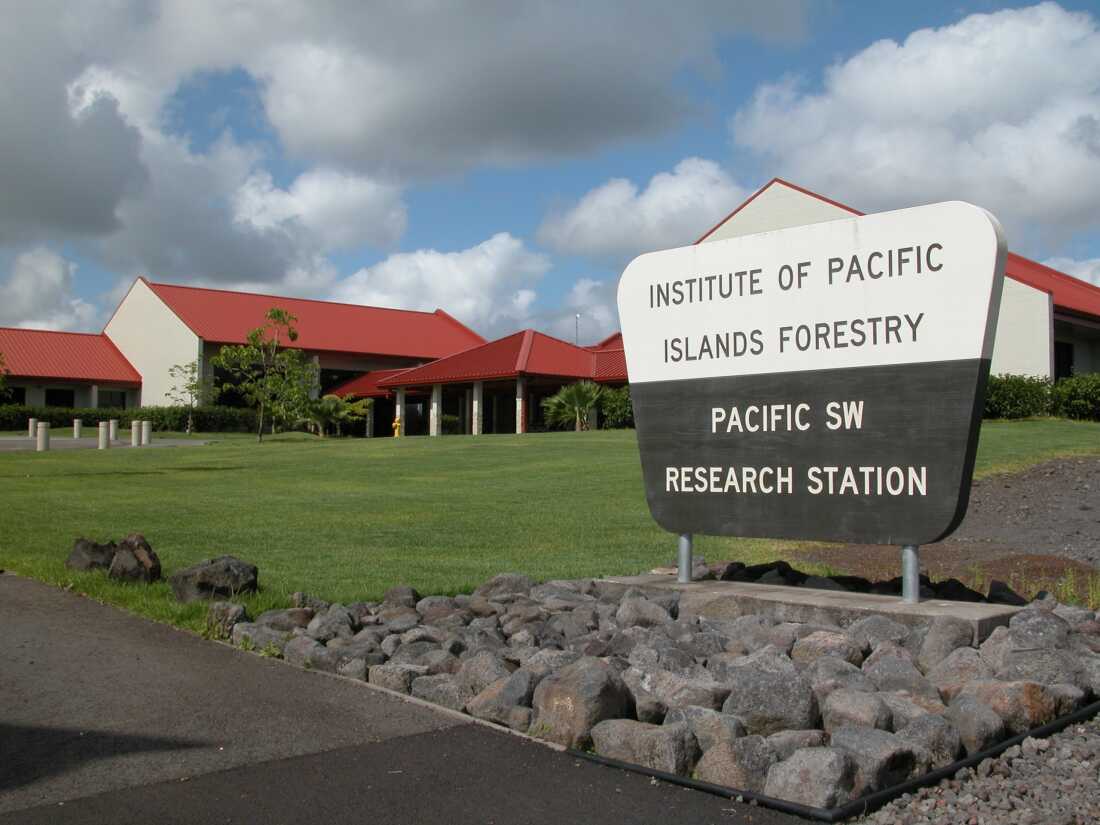 The Forest Service leases a site that houses the Institute of Pacific Island Forestry research station in Hilo, Hawaii for $1.