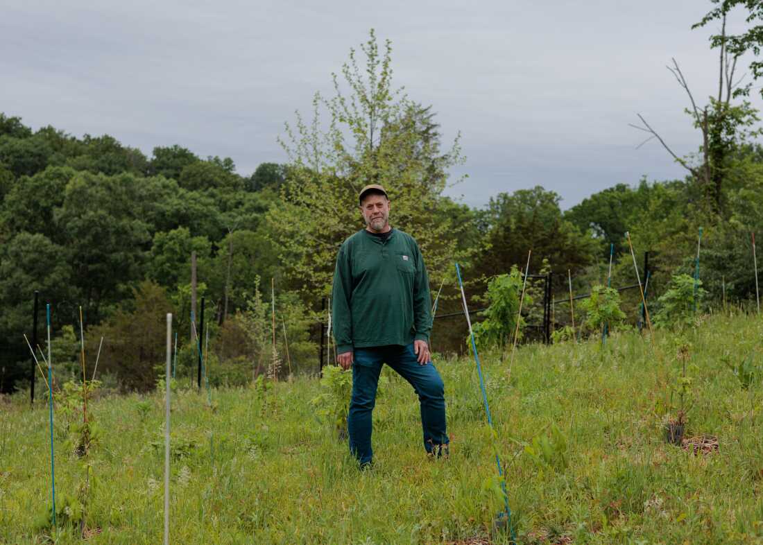 Former Forest Service researcher, Morgan Grove stands at the Native Oak Tree Regeneration: Oak Orchard Site at Cylburn Arboretum in Baltimore, Md. The Forest Service is trying to shut down research hubs and relocate researchers, disrupting established hyperlocal and personal relationships with partners.