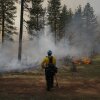 A fire fighter conducts a controlled burn in southern Washington.