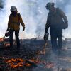 Setting low-grade fires, known as prescribed burns, can help clear out overgrown brush and dead material that fuels more extreme wildfires. In 2025, controlled burning fell by almost half under the Trump administration.