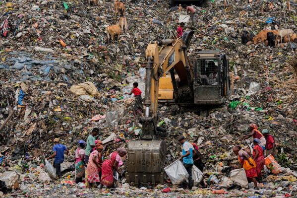 Ragpickers search for recyclable materials at a garbage dumping site on World Environment Day in Guwahati, India, Friday, June 5, 2026. (AP Photo/Anupam Nath)