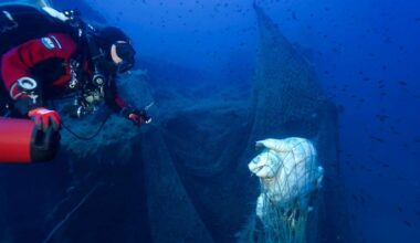 Rare footage of Mediterranean great white shark captured by ghost diver