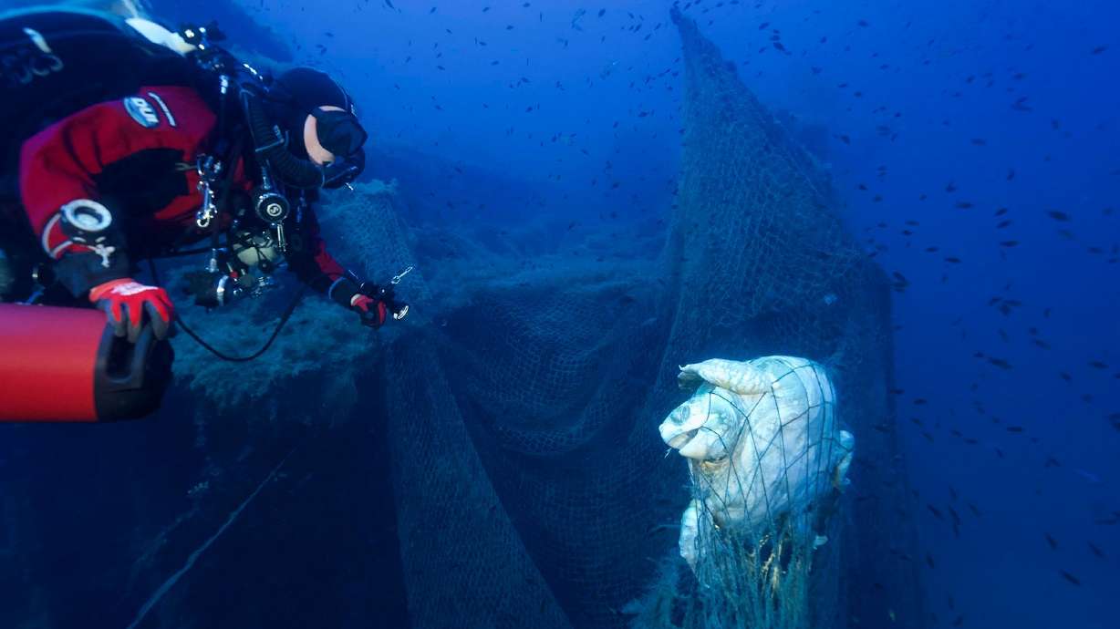 Rare footage of Mediterranean great white shark captured by ghost diver